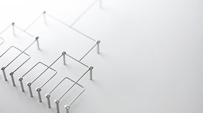 Corporate Structure